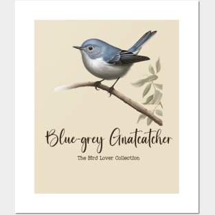 Blue-grey Gnatcatcher - The Bird Lover Collection Posters and Art